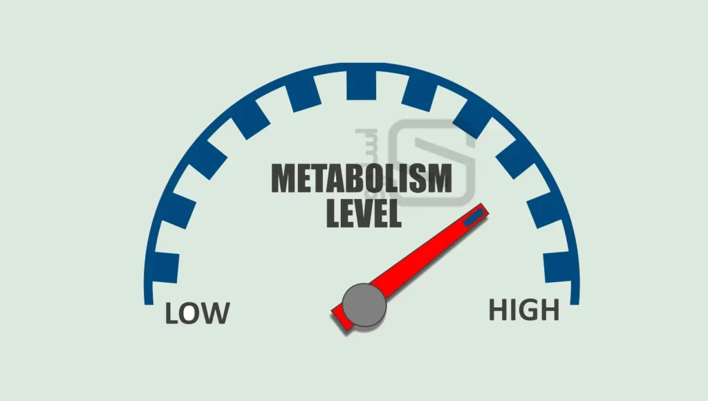 بالا بودن متابولیسم و لاغر شدن