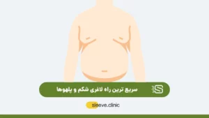 سریع ترین راه لاغری شکم و پلو ها شاخص